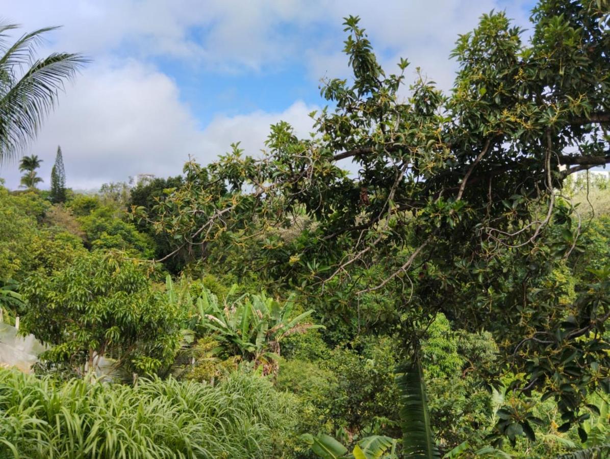 Apartamento Cercado Por Natureza E Diversao Maceió Exteriör bild