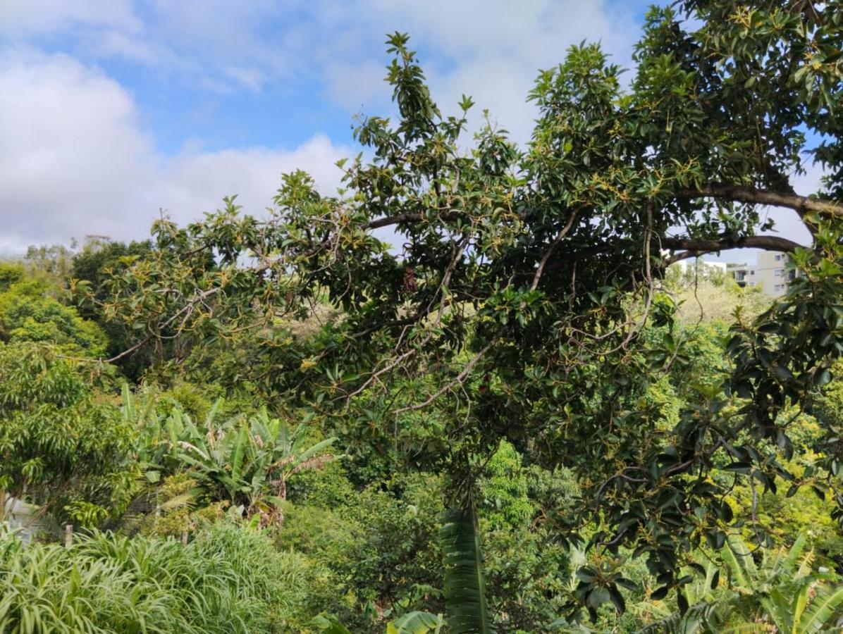 Apartamento Cercado Por Natureza E Diversao Maceió Exteriör bild